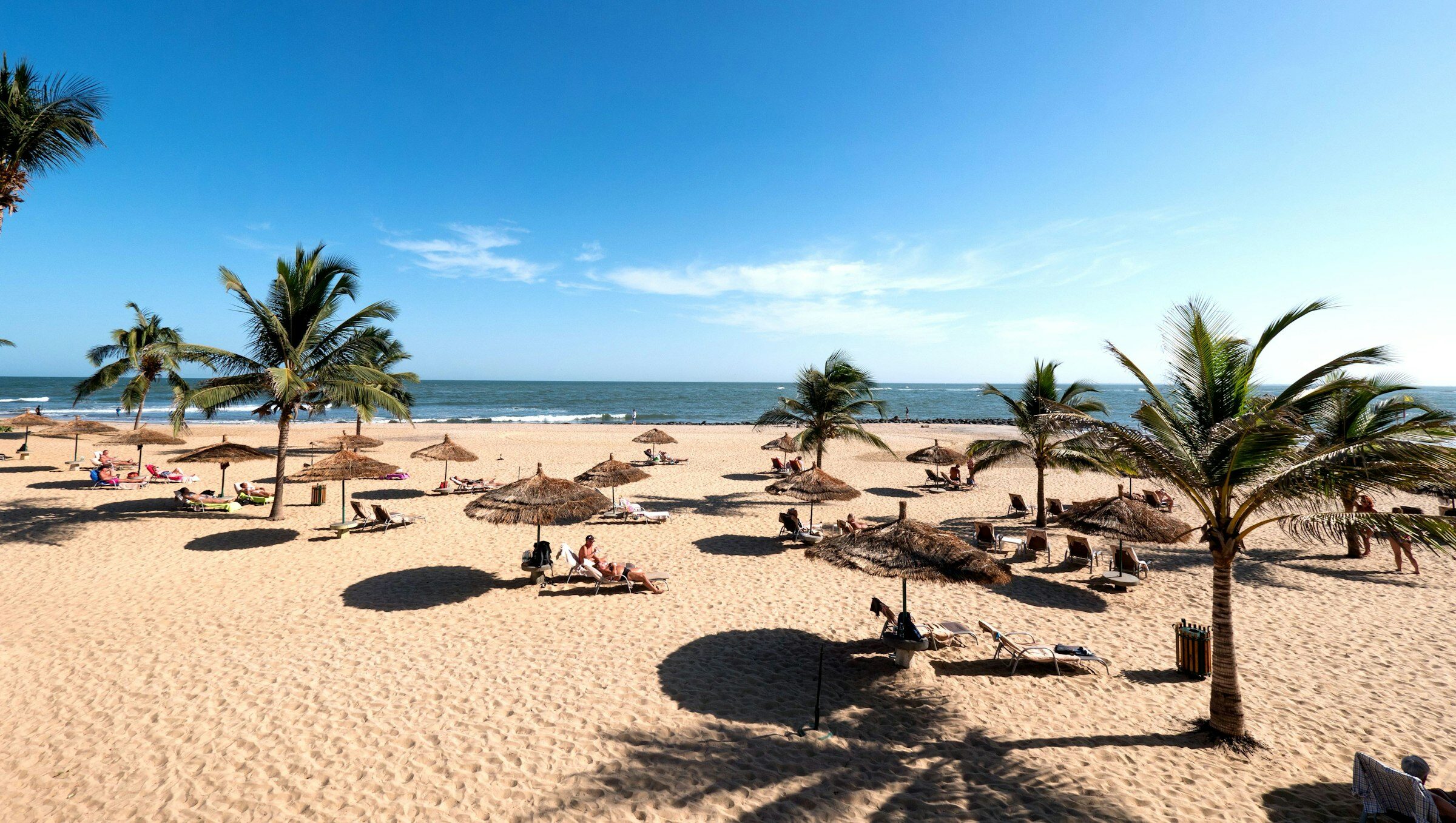 Palm-lined beach on the coast of The Gambia