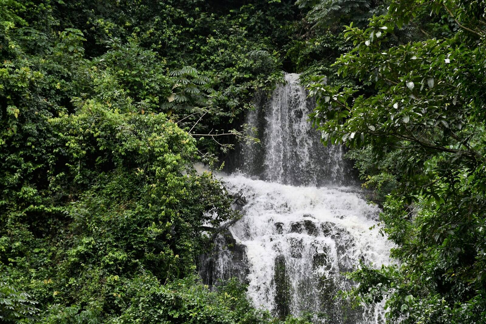 Waterfall cascading through lush forest near Aburi, Ghana